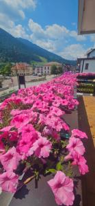 Affittacamere Fiocco di Neve