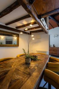 Maria Luxury Apartment with City View Terrace