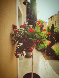 B&B / Chambres d'hotes Le mas de Roussillon chambre d'hotes : photos des chambres