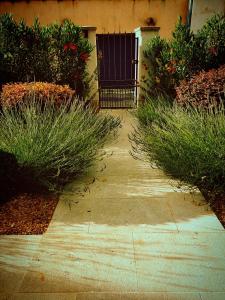 B&B / Chambres d'hotes Le mas de Roussillon chambre d'hotes : photos des chambres