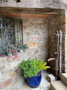 Maisons de vacances Chez le Max : photos des chambres