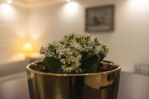 Grande maison des Compagnons