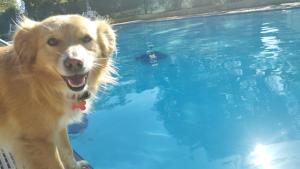 Nuraghe Ruiu Camping & Bungalow img57