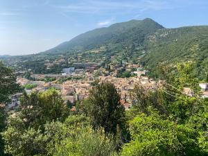 Maisons de vacances L-oranger : photos des chambres