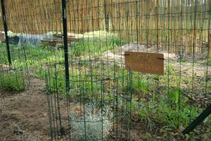 Nuraghe Ruiu Camping & Bungalow img72