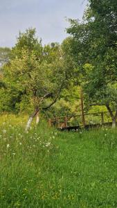 Cerdacul din livada - Șura Bunicilor