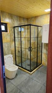 Cozy Cottage Wild Freedom