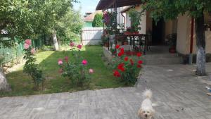 Casa în regim hotelier