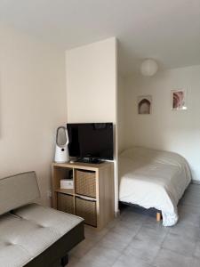 Appartements Magnifique appartement proche des quais : photos des chambres