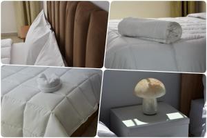 White Majorelle Duna Blanca