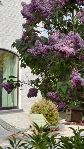 House W - North Sea Stays