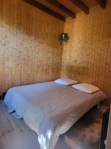 Chalets Chalet Otsoak Chalet prive 3 chambres 6 personnes avec grande terrasse, garage couvert, vue montagnes a St Lary village : photos des chambres