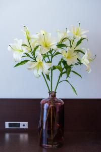 Domus Villae Luxury Creta