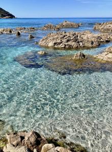LAZUR des calanques - T2 avec Piscine Chauffée & Vue Mer Exceptionnelle- Parking & Wifi