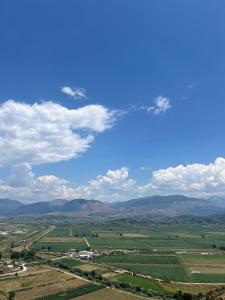 Green Nest Garden House