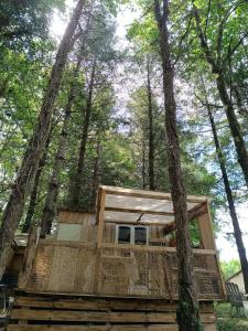 Chalets cabane o domaine sodje : photos des chambres