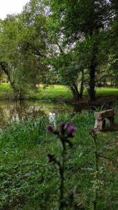 Chalets cabane o domaine sodje : photos des chambres