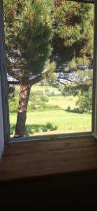 Maisons de vacances Grand cottage le pre bleu 11mn lac : photos des chambres