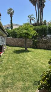 Villa Marisa - unforgettable Etna view