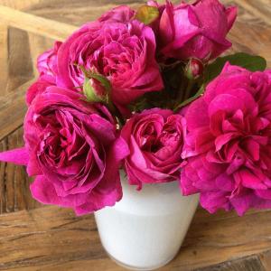 Appartements Apartment Le 1725 : photos des chambres