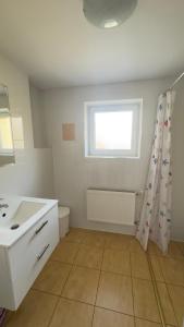 Pod Zielonym Daszkiem