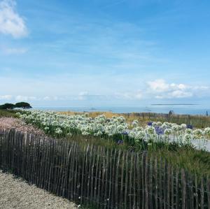 Studio 3 couchages vue mer