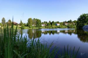 Cocon au calme vue étang idéal familles et pros