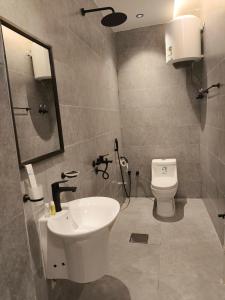 شقة غرفة وصالة