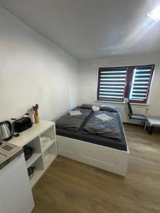 Modernes 1-Zimmer Appartment- mit Doppelbett und Smart-TV