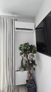 AA Apartments OldTown