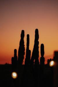 Casa Pakal-Cozy Cottage Near Cerritos Beach