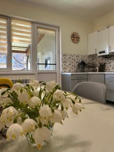 Чотири стихії