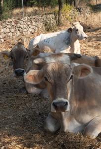 LA CROISETTE Agriturismo - Farmhouse img54
