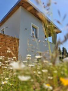 Ferienhaus am Thüringer Meer