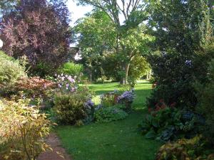 Maisons de vacances Gite des Hortillonnages : photos des chambres