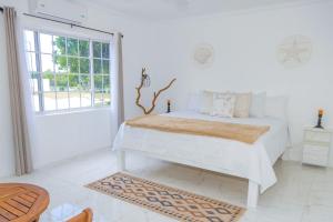 Treasure Beach Inn and Bar