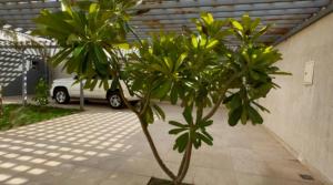 شاليه الماسيه خاص و مميز بأحدث المواصفات لنصنع الجمال بعينه