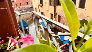 Corte dei Quadri Simoni