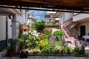 Bogdanoski Studios & Guest Rooms