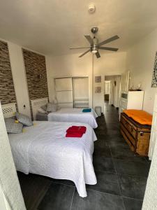 Apartamentos Sao Rafael, 80b