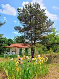Siedlisko Panorama na Koncu Swiata - Całoroczny domek