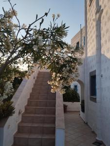 Glaros Studios 2 -Agriolivadi Patmos