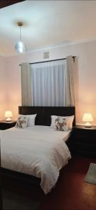 Euro Luxe Apartments