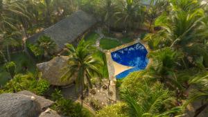 Bambuddha Centro Holistico