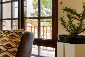 Noelle’s House - Alto Boquete, a natural place to enjoy.