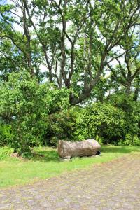 Entre terre et mer, guest house dans joli jardin