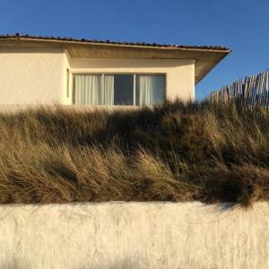 B&B / Chambres d'hotes La Mer & La Dune : photos des chambres
