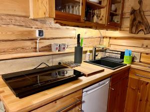 DZIUPLA - Tatra Rustic Log Cabin