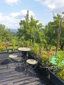 Housing VaduCrisului casa GenySa