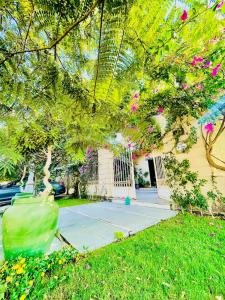 Jamila Home - Royal City Villa - El Sheikh Zayed
